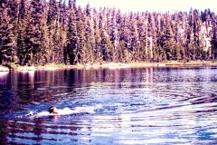 05_1971_yosemite_18_3