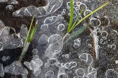 torrent-glace-1