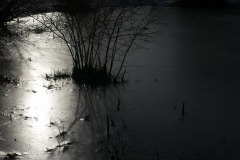 mare-glacee