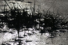 reflets-argentes