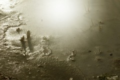 reflets-geles