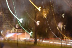 sylvieF_pauselente-4