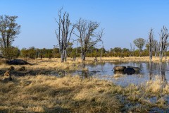 1-Alain-C-_DSC4085-Panorama
