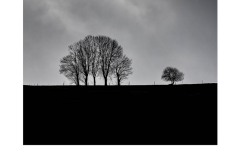 JaM-Minimaliste-2