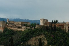 Bruno-Z-1-DSC_0002