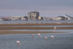 Helene-H-Voyage-en-Namibie-5