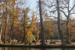 IMG_8608-2
