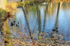 IMG_8609-2