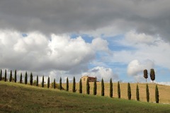 toscane-2014-2010