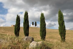 toscane-2014-2034