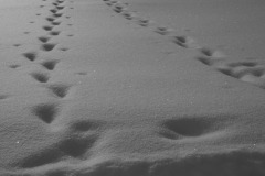 Ombres-et-lumieres-10
