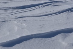 Ombres-et-lumieres-5