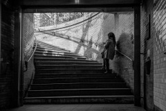 Jean-Cohen4-4586