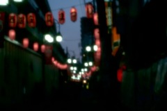 fle_Japon_0004