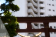 fle_Japon_0012