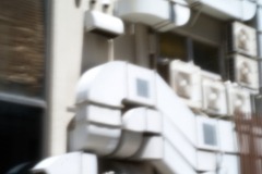 fle_Japon_0013