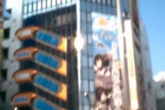 fle_Japon_0015