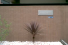 fle_Japon_0017