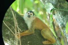 IMG-20190104-WA0026
