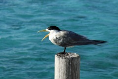 IMG_1459