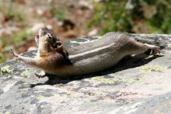 IMG_3245-copie