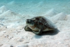 IMG_3571-copie-2