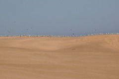 IMG_6966