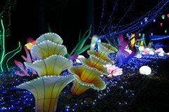 Picod_theme-de-nuit_08