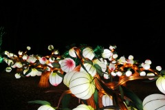 Picod_theme-de-nuit_10