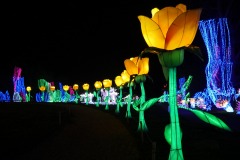 Picod_theme-de-nuit_12