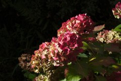 20120923_0_0012