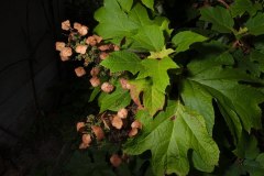 20120923_0_0021