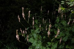 20120923_0_0058