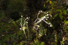 20121119_0_0143