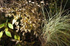 20121119_0_0149