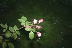 20140504_P5038631