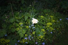 20140504_P5038634