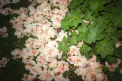 20140504_P5038639
