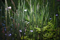 20140504_P5038645