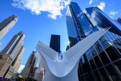 Alain-C-New-York-26