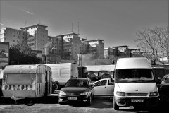 IMG_7013-Copie