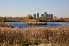 Delta de Bucarest 11/2016