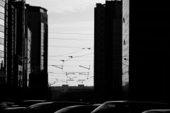 dans la tourmente de la ville