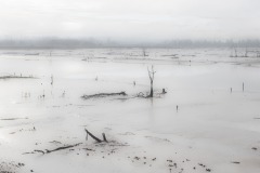 09022020-_RCM5409
