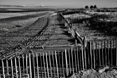 Boyardville 08/2018