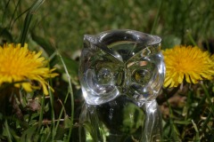 2020_04-Picod-Transparence_5