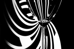 transparence1774