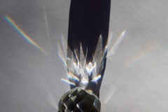 IMG_8729