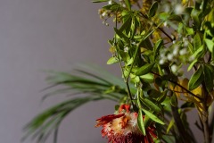 Alain-C-Nature-morte-05