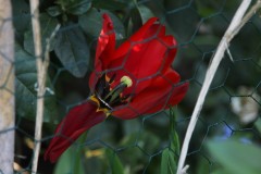 IMG_9307-4